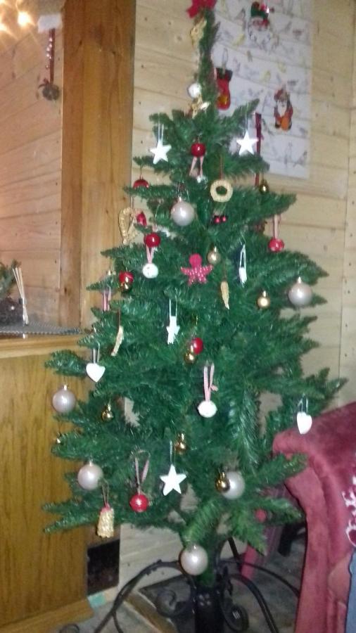 Apartmany Na Hline Třeboň Extérieur photo