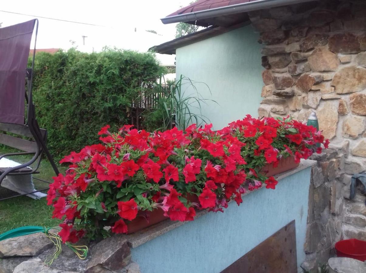 Apartmany Na Hline Třeboň Extérieur photo
