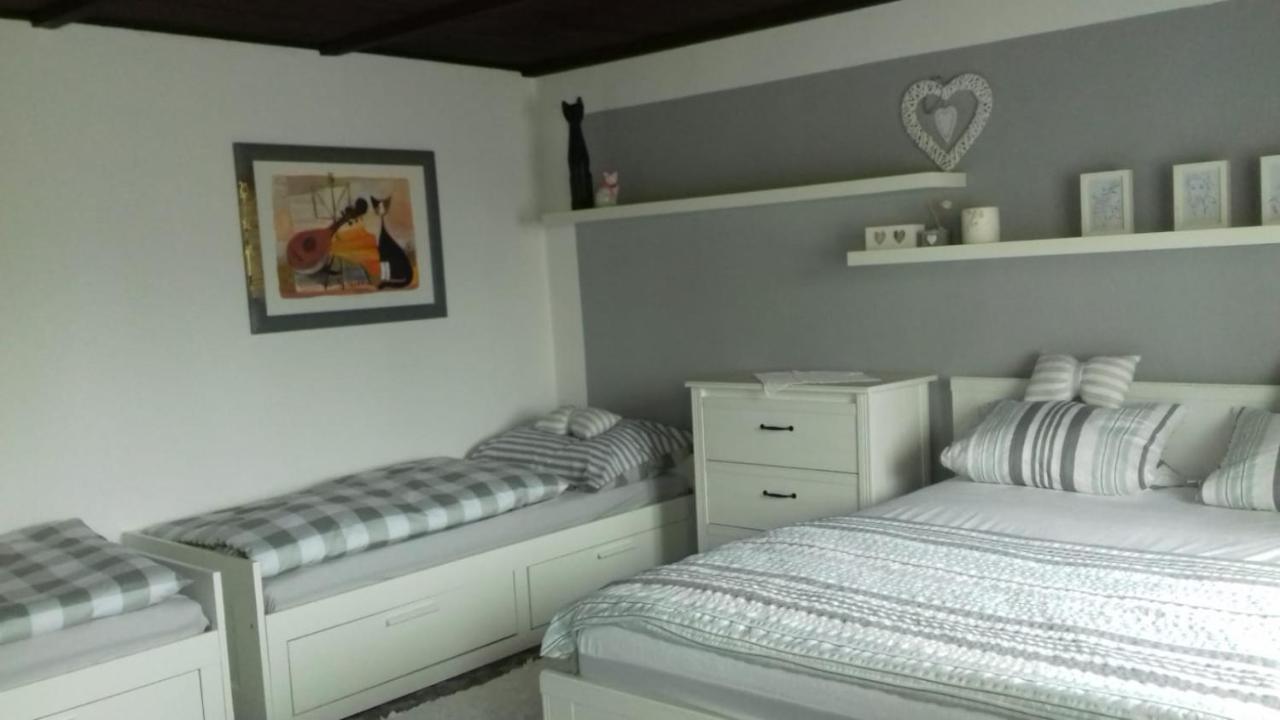Apartmany Na Hline Třeboň Extérieur photo