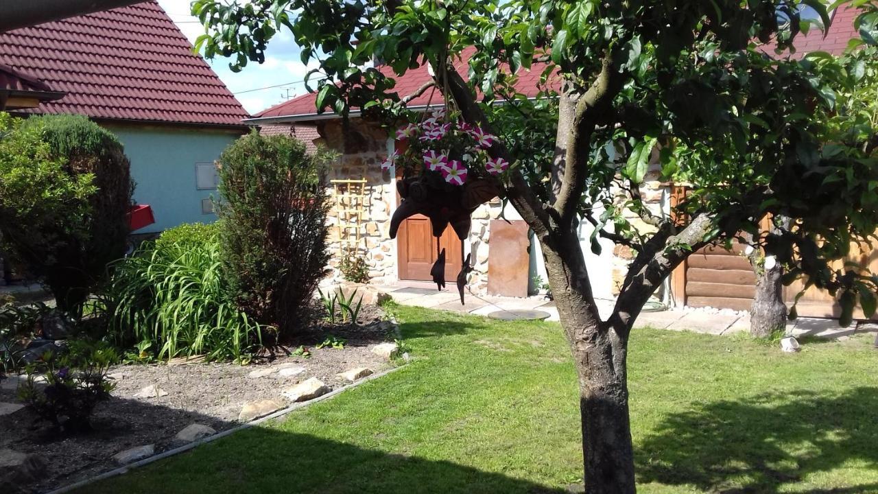 Apartmany Na Hline Třeboň Extérieur photo